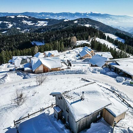 1A Chalet Eck - Wandern, Grillen, Panorama Sauna! Klippitztorl Ngoại thất bức ảnh
